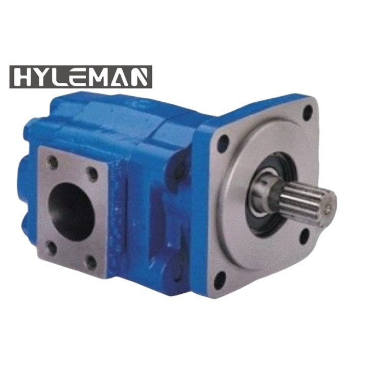 P50 / 51 DUMPENI DUMPENI PUMPI CM-391-2686-065 / CM-391-0381-077